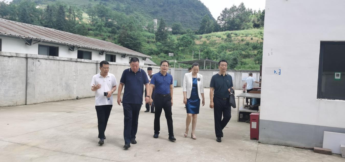 北京师范大学、天津职业技术师范大学专家一行赴英超调研交流   
