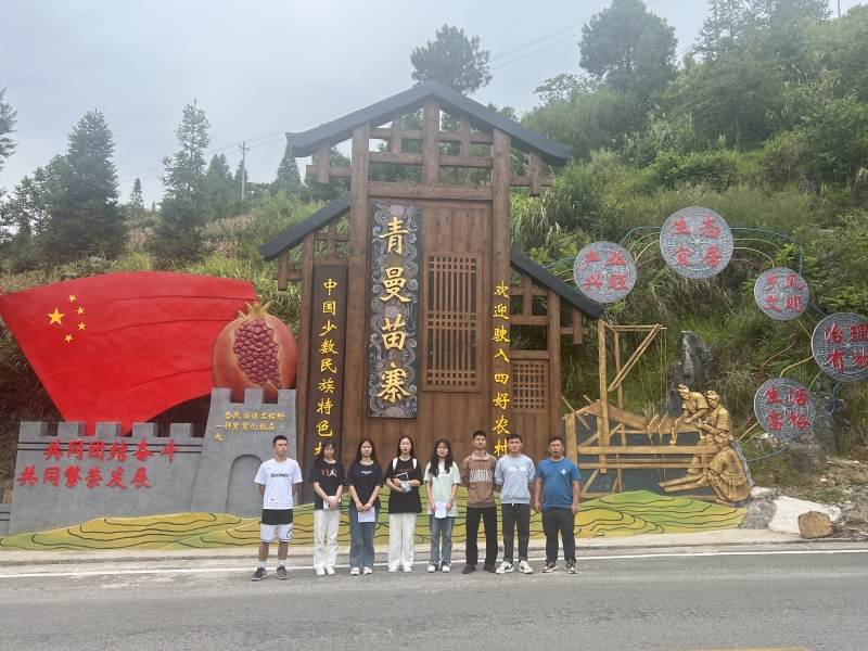 活力团支部：服务乡村振兴项目调研